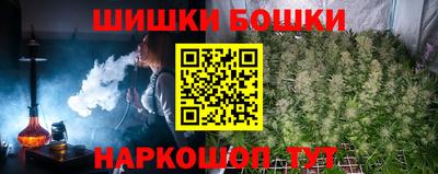 мдпв Можга